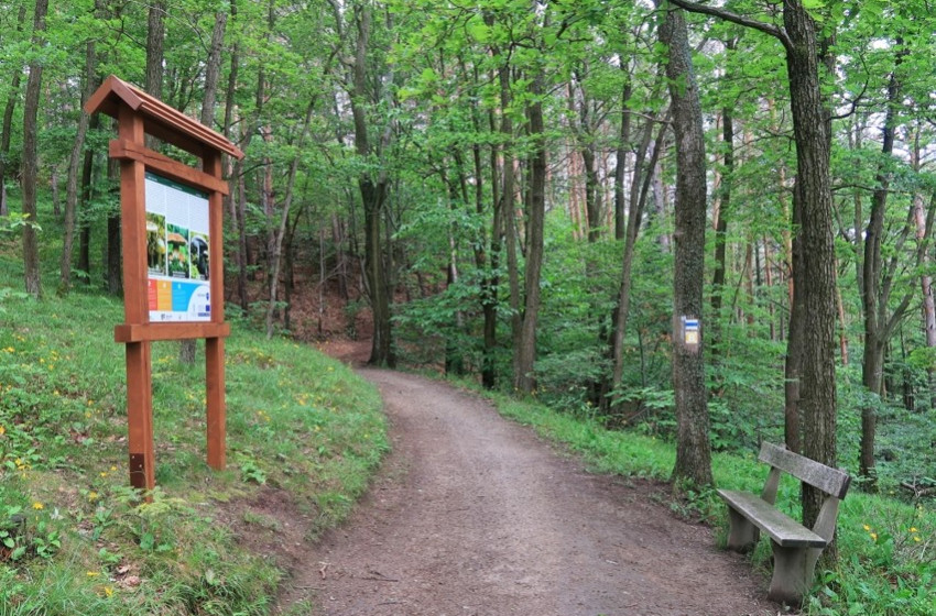 Szétverték a soproni interaktív tanösvény tábláit